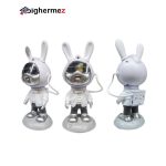 پروژکتور آسمان مجازی مدل D01 خرگوشی